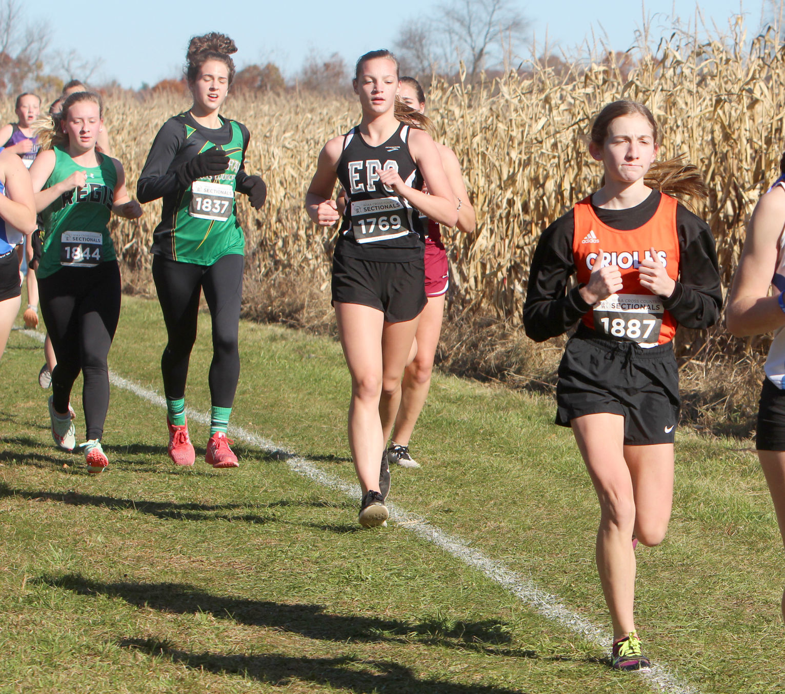 Division 3 Cross Country Sectionals in Boyceville 10-26-19